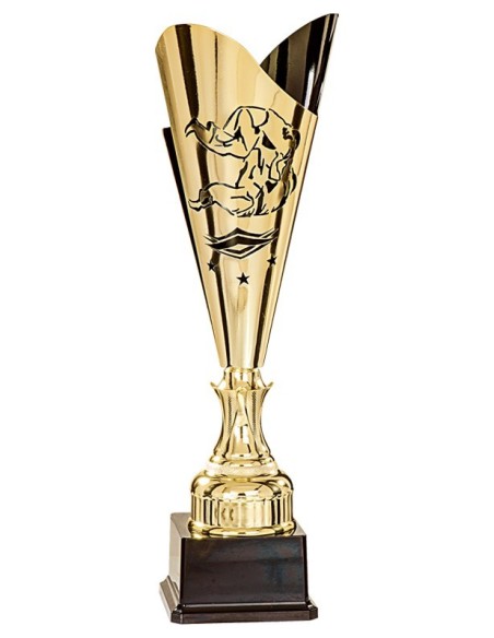 Coupe judo métal | Récompense de Qualité | FSP-35510