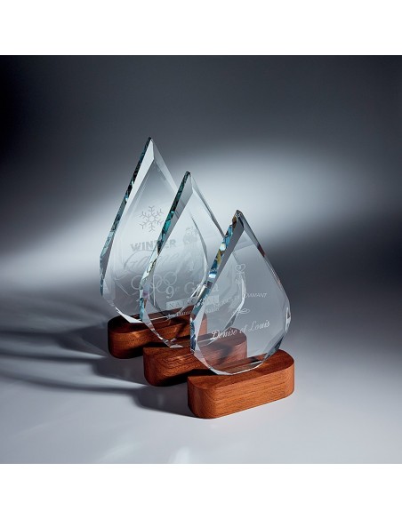 Trophée en Verre | Élégance et Distinction | TV5008C