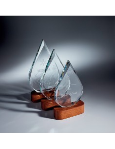 Trophée en Verre | Élégance et Distinction | TV5008B