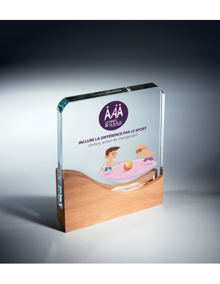 Trophée en Verre | Élégance et Distinction | TV5009