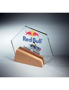 Trophée en Verre | Élégance et Distinction | TV5011