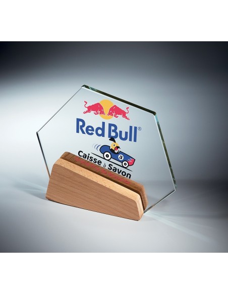 Trophée en Verre | Élégance et Distinction | TV5011