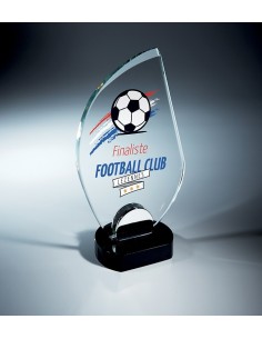 Trophée en Verre | Élégance et Distinction | TV5006C