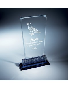 Trophée en Verre | Élégance et Distinction | TV5007C