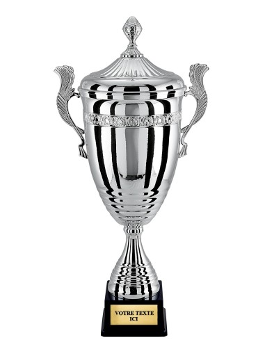 Coupe 100% metal argent | Récompense de Qualité | CP5296BV