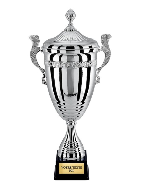 Coupe 100% metal argent | Récompense de Qualité | CP5296BV