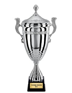 Coupe 100% metal argent | Récompense de Qualité | CP5296AV