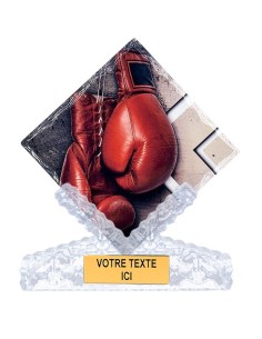Trophée céramique boxe | Récompense de Qualité | FSP-46103