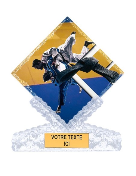 Trophée céramique judo | Récompense de Qualité | FSP-46114