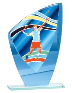 Trophée en Verre | Élégance et Distinction | FSP-66210-2