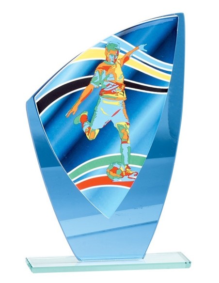 Trophée en Verre | Élégance et Distinction | FSP-66215-2