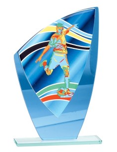 Trophée en Verre | Élégance et Distinction | FSP-66215