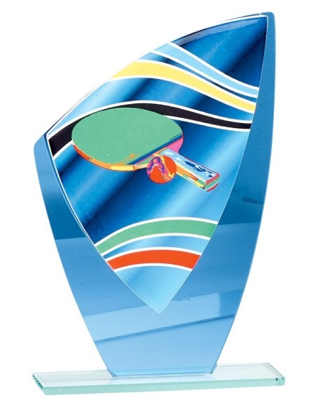 Trophée en Verre | Élégance et Distinction | FSP-66216-2