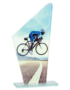 Trophée en Verre | Élégance et Distinction | FSP-66107