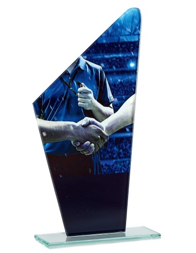 Trophée Couleur "BRAND SERIES" - Hauteur : 22 cm - Matière du trophée : Verre - Base : Verre transparent - Finition : Multi-couleurs