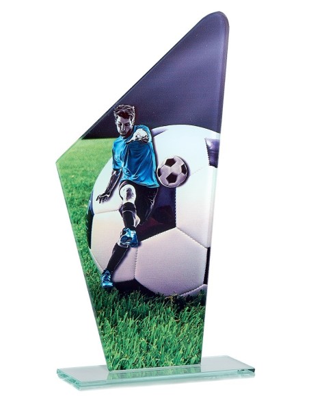 Trophée en Verre | Élégance et Distinction | FSP-66110