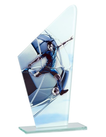 Trophée en Verre | Élégance et Distinction | FSP-66111