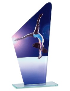 Trophée en Verre | Élégance et Distinction | FSP-66112