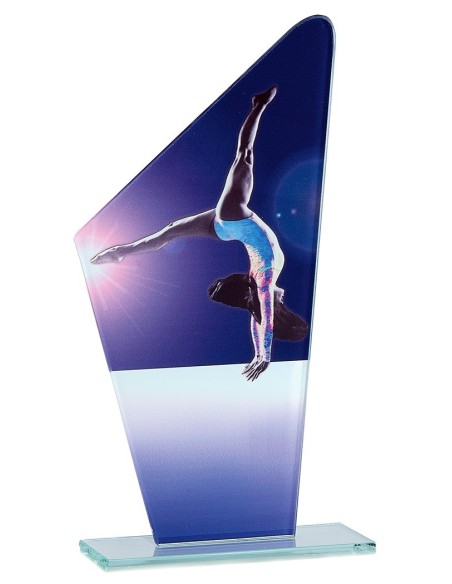 Trophée en Verre | Élégance et Distinction | FSP-66112