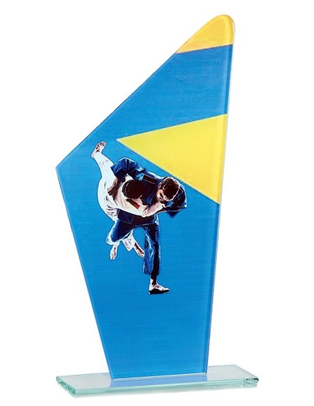 Trophée en Verre | Élégance et Distinction | FSP-66114