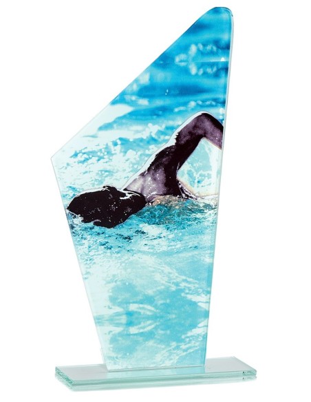 Trophée en Verre | Élégance et Distinction | FSP-66115