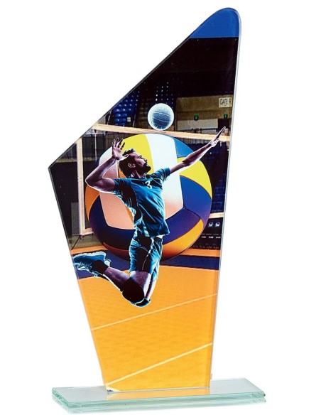 Trophée en Verre | Élégance et Distinction | FSP-66119