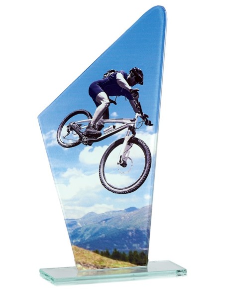 Trophée en Verre | Élégance et Distinction | FSP-66120