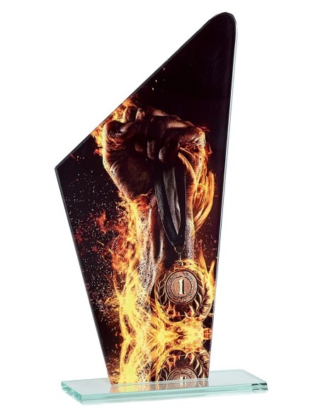 Trophée en Verre | Élégance et Distinction | FSP-66121