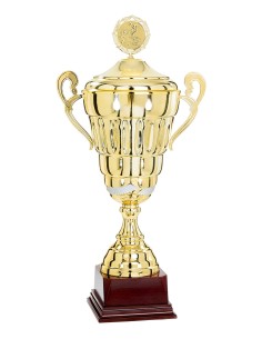 Coupe or 100% metal | Récompense de Qualité | FSP-750-3W