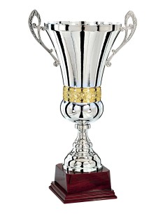 Coupe argent/or 100% metal | Récompense de Qualité | FSP-772-2