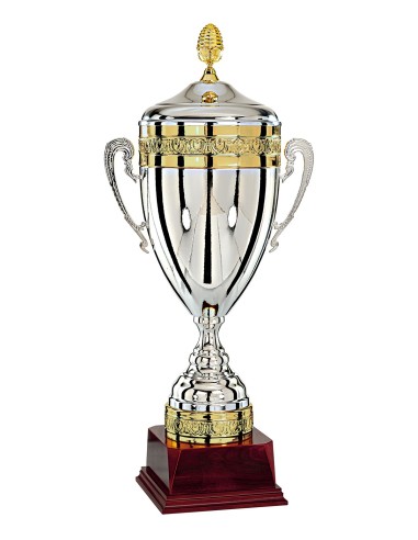 Coupe argent/or 100% metal | Récompense de Qualité | FSP-785-2