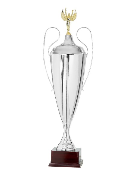 Coupe argent 100% metal | Récompense de Qualité | FSP-788-1