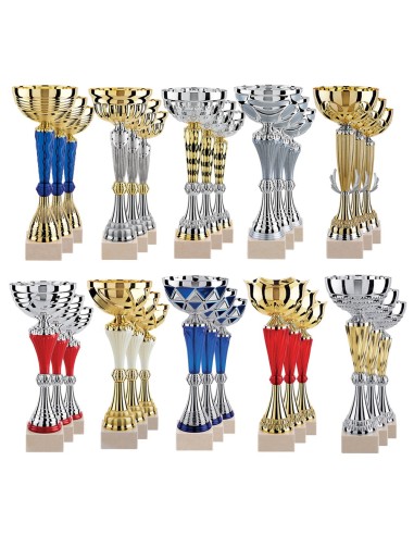 Lot de 30 coupes 2025 hauteur moyenne 33,5 cm | Récompense de Qualité !