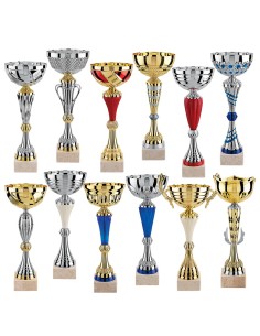 Lot de 12 coupes 2025 hauteur moyenne 36,8 cm | Récompense de Qualité !