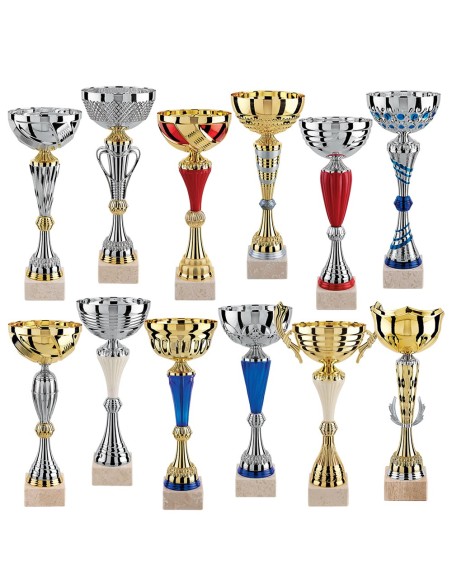 Lot de 12 coupes 2025 hauteur moyenne 36,8 cm | Récompense de Qualité !