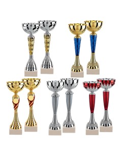 Lot de 10 coupes 2025 hauteur moyenne 28 cm | Récompense de Qualité !