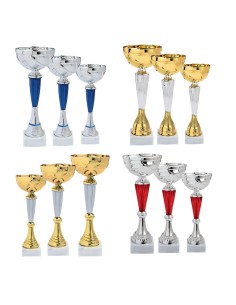 Lot de 12 coupes 2025 hauteur moyenne 28 cm | Récompense de Qualité !