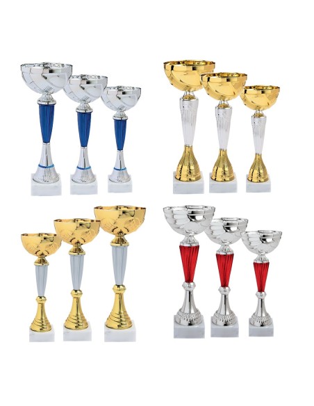 Lot de 12 coupes 2025 hauteur moyenne 28 cm | Récompense de Qualité !