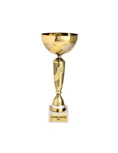 Coupe or/argent | Récompense de Qualité | CP5352B