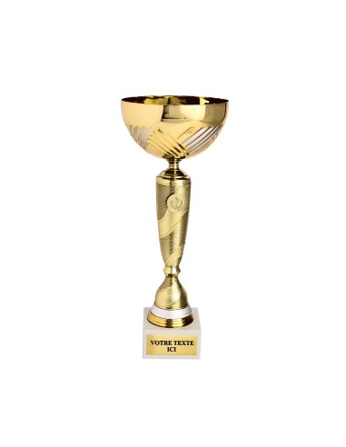 Coupe or/argent | Récompense de Qualité | CP5352B