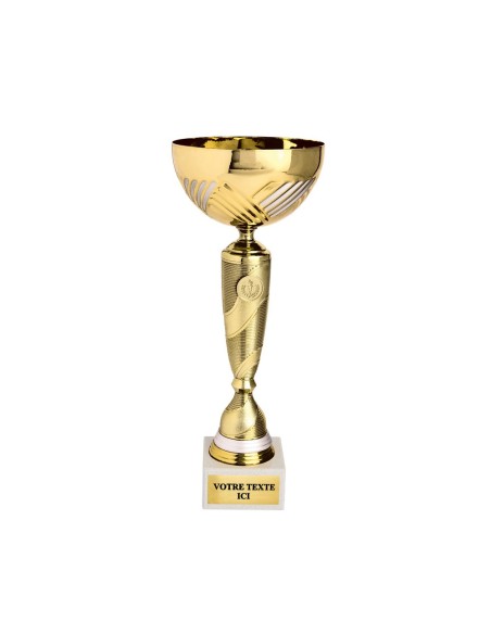 Coupe or/argent | Récompense de Qualité | CP5352C