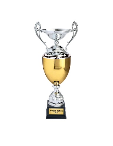 Coupe argent/or | Récompense de Qualité | CP5369A