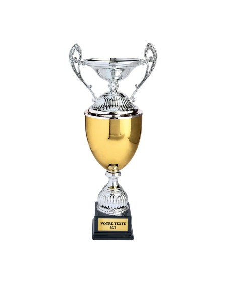 Coupe argent/or | Récompense de Qualité | CP5369C