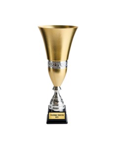 Coupe or/argent | Récompense de Qualité | CP5370C
