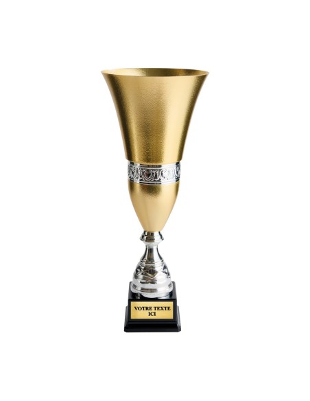 Coupe or/argent | Récompense de Qualité | CP5370C