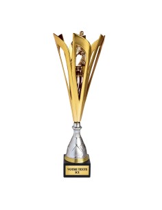 Coupe discipline or/argent | Récompense de Qualité | CP5373