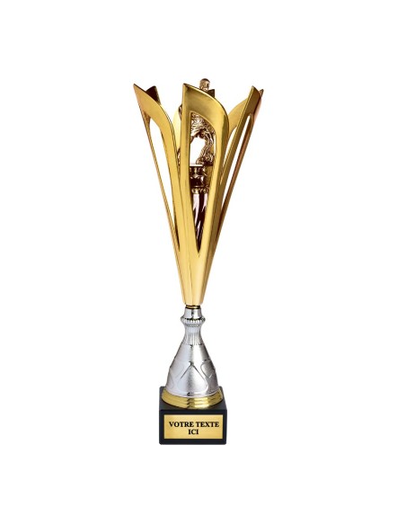 Coupe discipline or/argent | Récompense de Qualité | CP5373