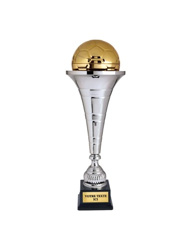 Coupe discipline argent/or | Récompense de Qualité | CP5374