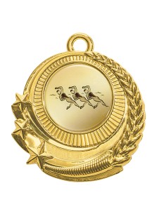 Médaille porte-centre zamak or | disponible en 3 couleurs | Récompense de...