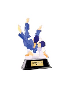 Trophée acrylique personnalisable judo | Récompense de Qualité | PN109